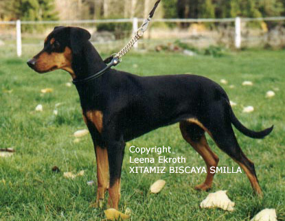 Xitamiz Biscaya Smilla
